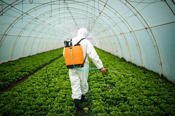 Best Local Pest Control Services  in Brackettville, TX
