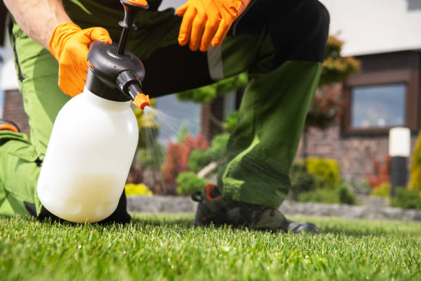 Best Pest Control Near Me in Brackettville, TX