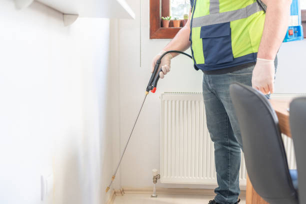 Best Affordable Pest Control Services  in Brackettville, TX