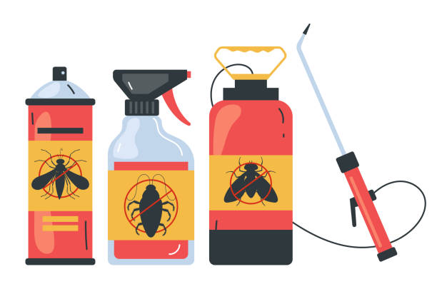 Best Flea Control Services  in Brackettville, TX